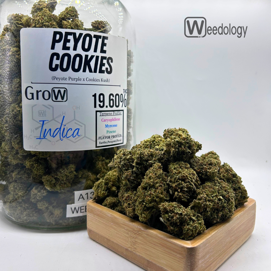 Photograph of product: Peyote Cookies (I) - 28g