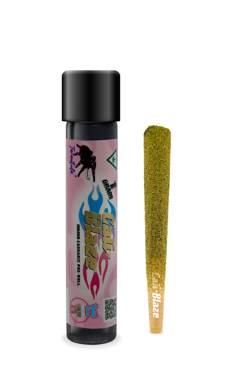 Photograph of product: Bubblegum | Tarantula | Infused Pre-Roll | 1g