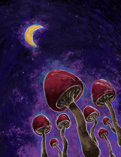 Photograph of product: Mushroom Greeting Card