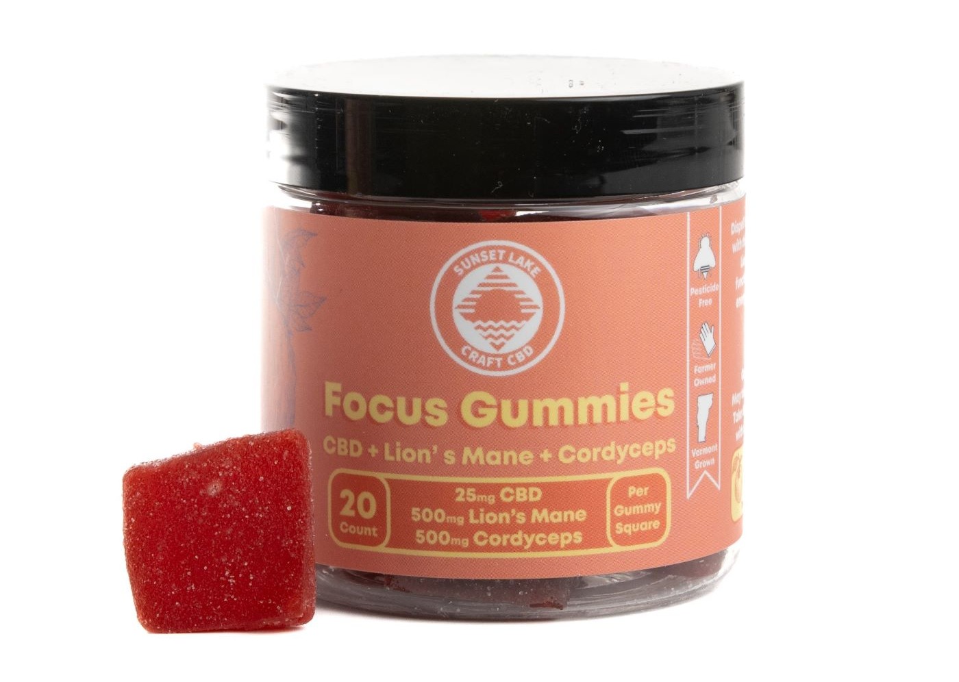 Photograph of product: SL CBD | Focus Gummies 20pk CBD + Lion's Mane + Cordyceps