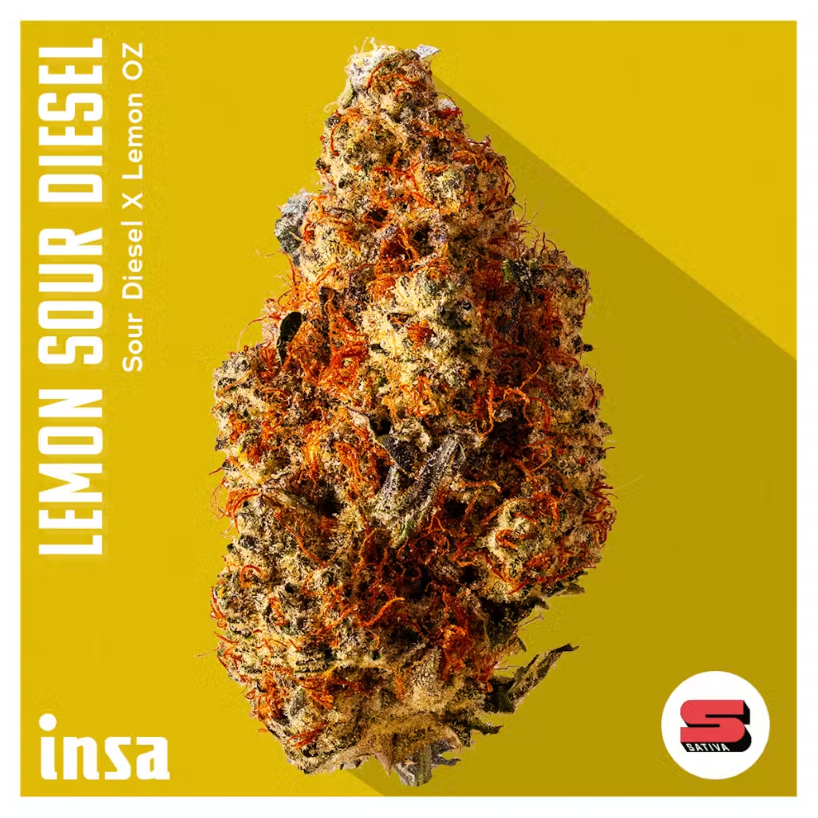 Photograph of product: 3.5g | Lemon Sour Diesel | INSA