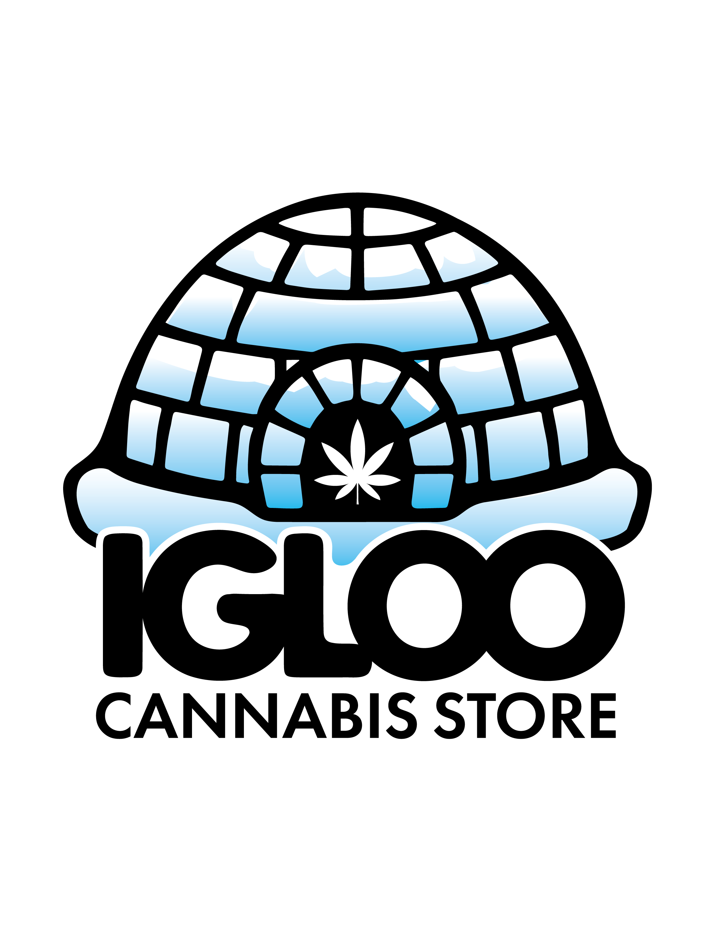 Photograph of product: Igloo | Merch | Sticker