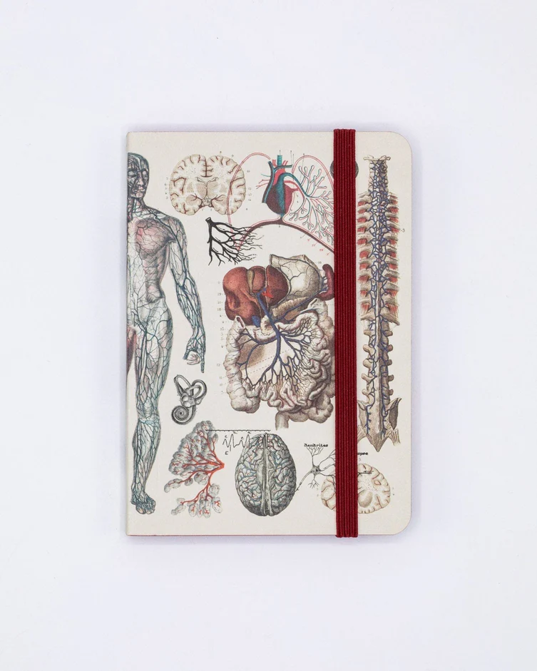 Photograph of product: Anatomy & Physiology Observation Soft Cover