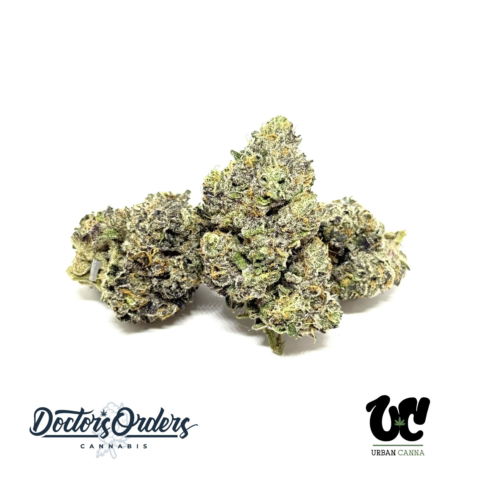 Photograph of product: Gas Cream Runtz (Platinum)