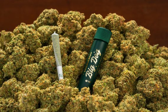 Photograph of Product: Dogwalkers Blue Zashimi Big Dog Preroll .75g