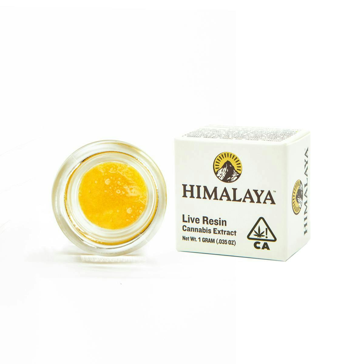 Photograph of product: 14 BOMBERS 1G TERP SAUCE