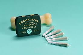 Photograph of product: Fabs (Sit)- 1.75g Mini Dogs (5 x0.375g)