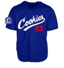 Photograph of product: Chavez Baseball Jersey - 