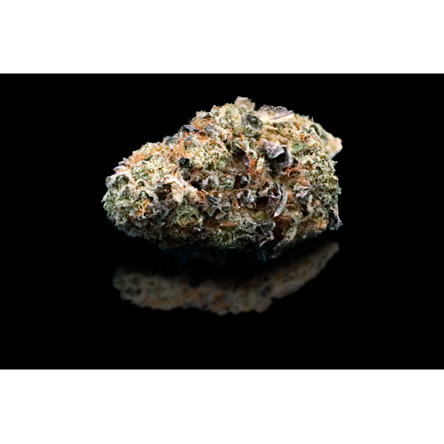 Photograph of product: Mimosa - Bulk Flower - 28g