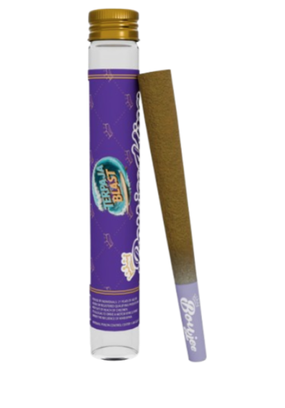 Photograph of product: Terpaja Blast | 1.5G Infused Preroll