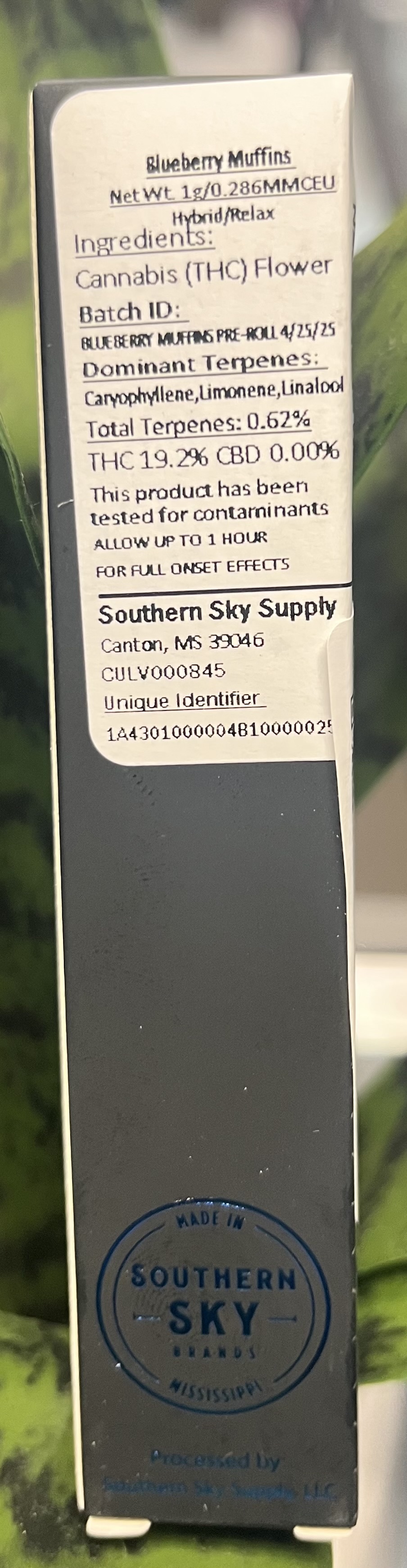 Photograph of Product: Southern Sky | 1g | Blueberry Muffin