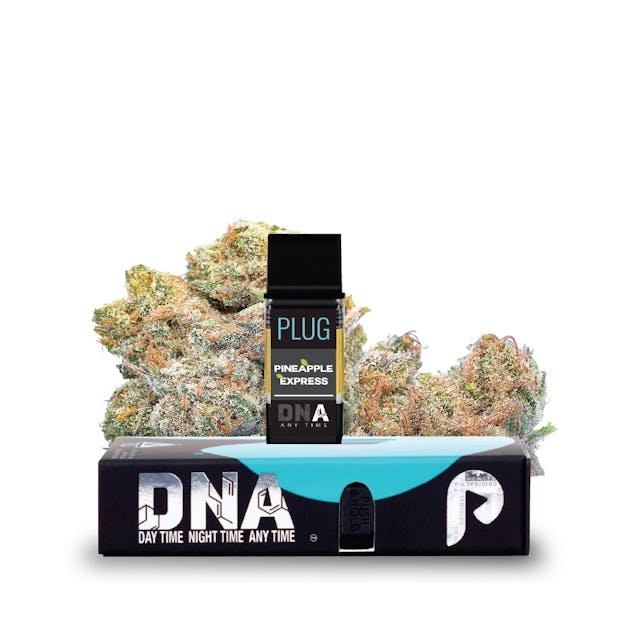 Photograph of product: Pineapple Express | DNA [1g] - 