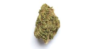 Photograph of product: OZ - En Fuego - (Hybrid) - 25.45% TH-oui (+/-10%) - Baked Turtle - 9356 - 28g