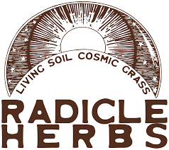 Photograph of Product: Radicle Herbs GMOB Live Rosin