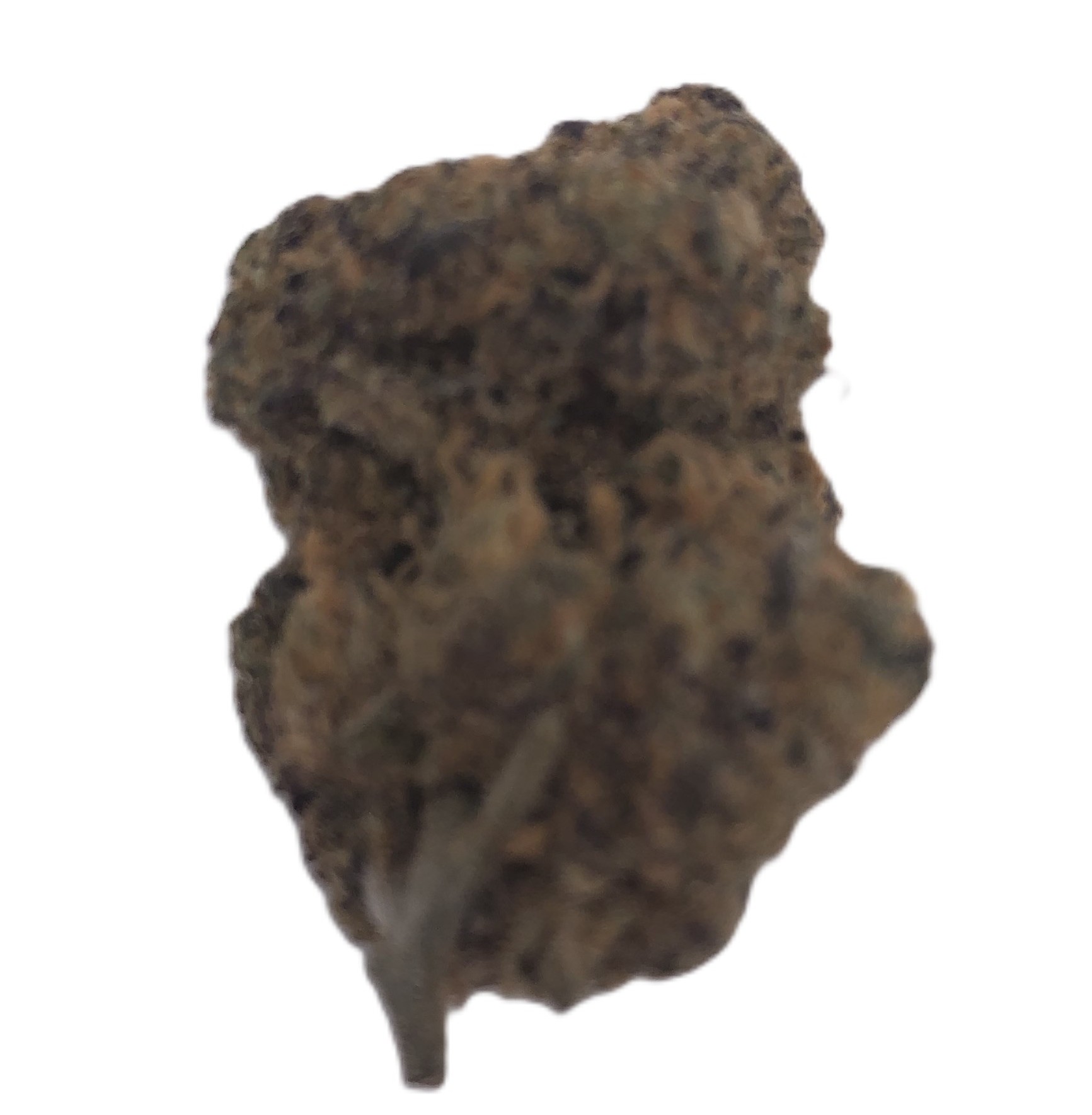 Photograph of product: Pruf Cultivar Cheetah Cake - 1g