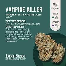 Photograph of product: Vampire Killer | Flower | 3.5g (H)