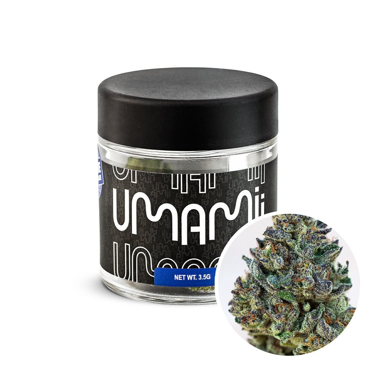 Photograph of product: Gary Payton 3.5G Flower | UMAMII |
