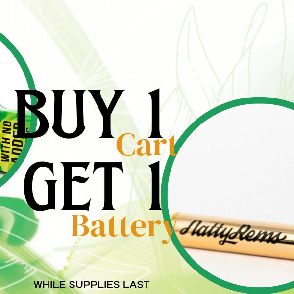 Photograph of product: Gold Battery