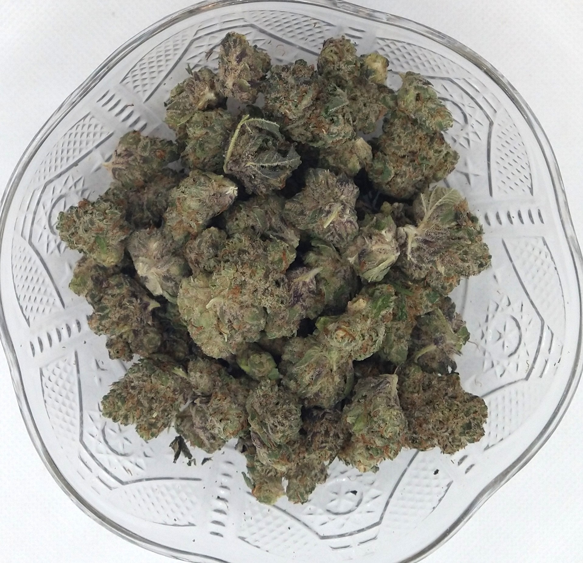 Photograph of product: Craft Hydro | Peach Rings | Hybrid | Bulk Flower | Gold - 1g