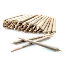 Photograph of product: Jack Herer (S) Pre-Roll 1 gr 28 Pk