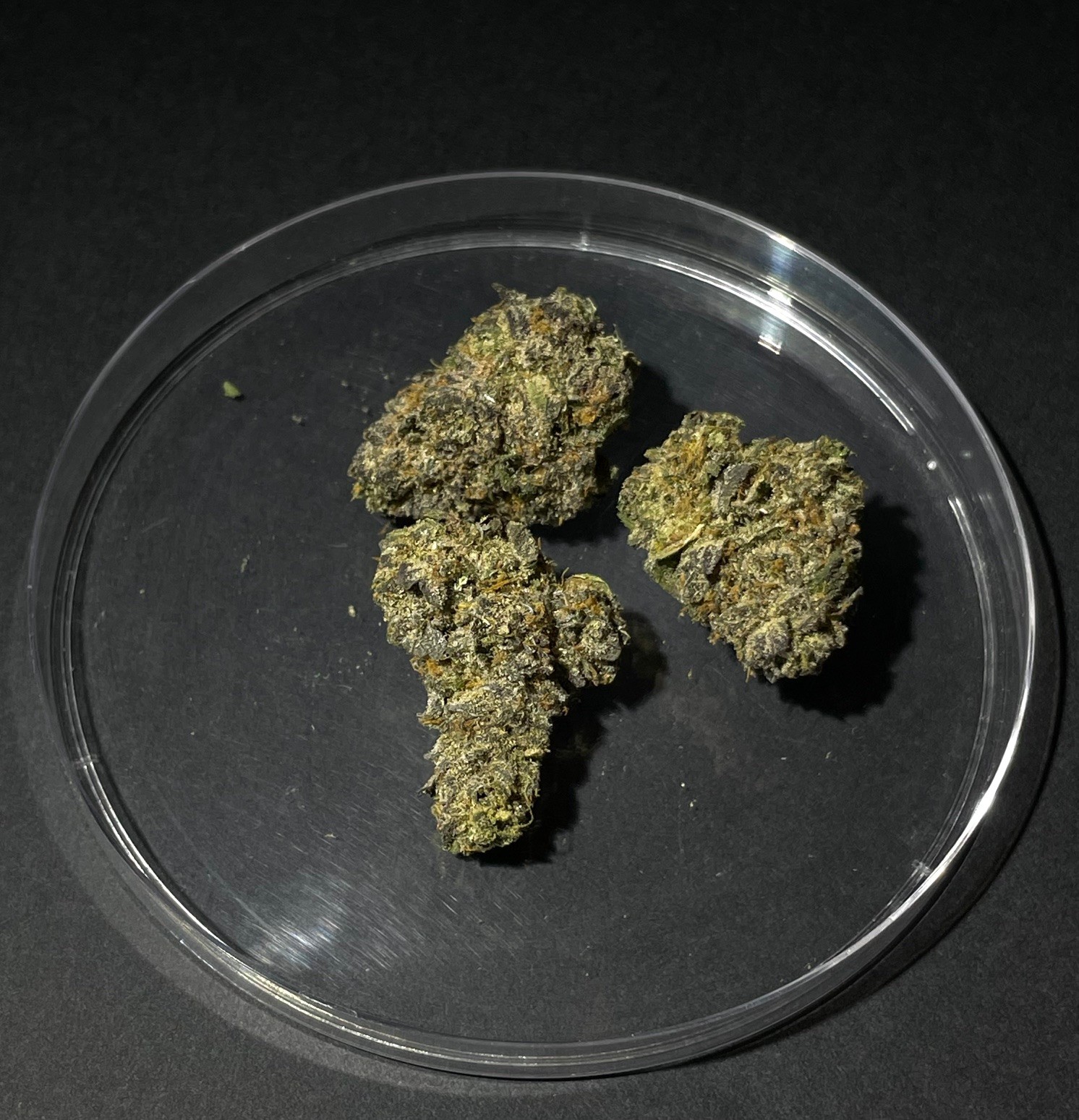 Photograph of product: Mr. Stinky - 28g