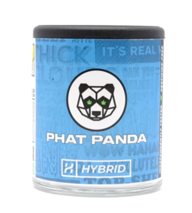 Photograph of product: Gummy Bearz | 3.5g