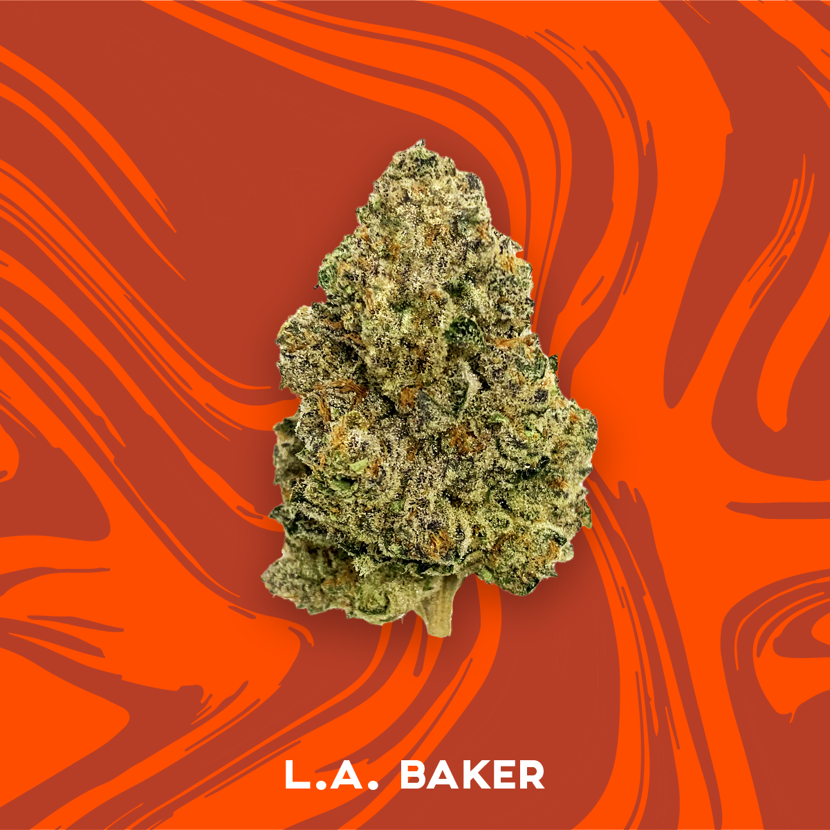Photograph of product: Vivid - LA Baker - PrePack - 3.5g