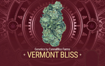 Photograph of product: Pre-Roll Twin-Pack | 2 x 0.5g | Vermont Bliss