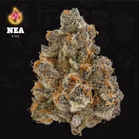 Photograph of product: Flower | Super Boof - 3.5g