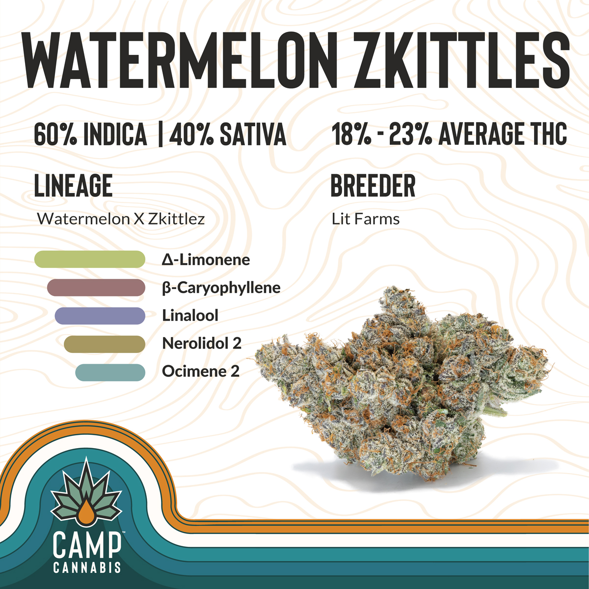 Photograph of product: Camp Oui'd Watermelon Z Flower | 3.5g