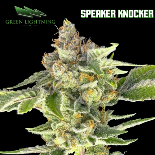 Photograph of product: Speaker Knocker - 7g