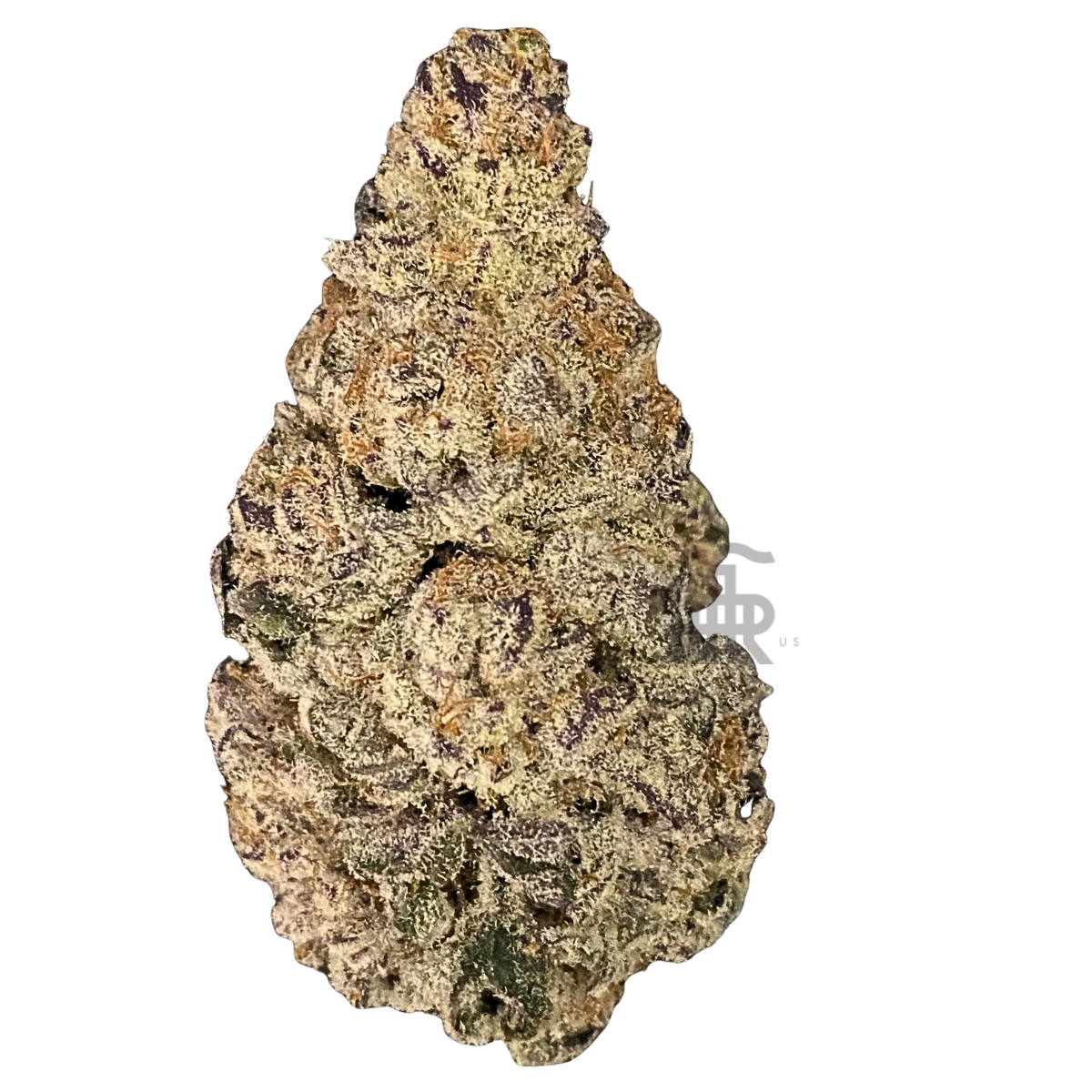 Photograph of product: Grande Guava | Deli Style | Tier Five - 28g