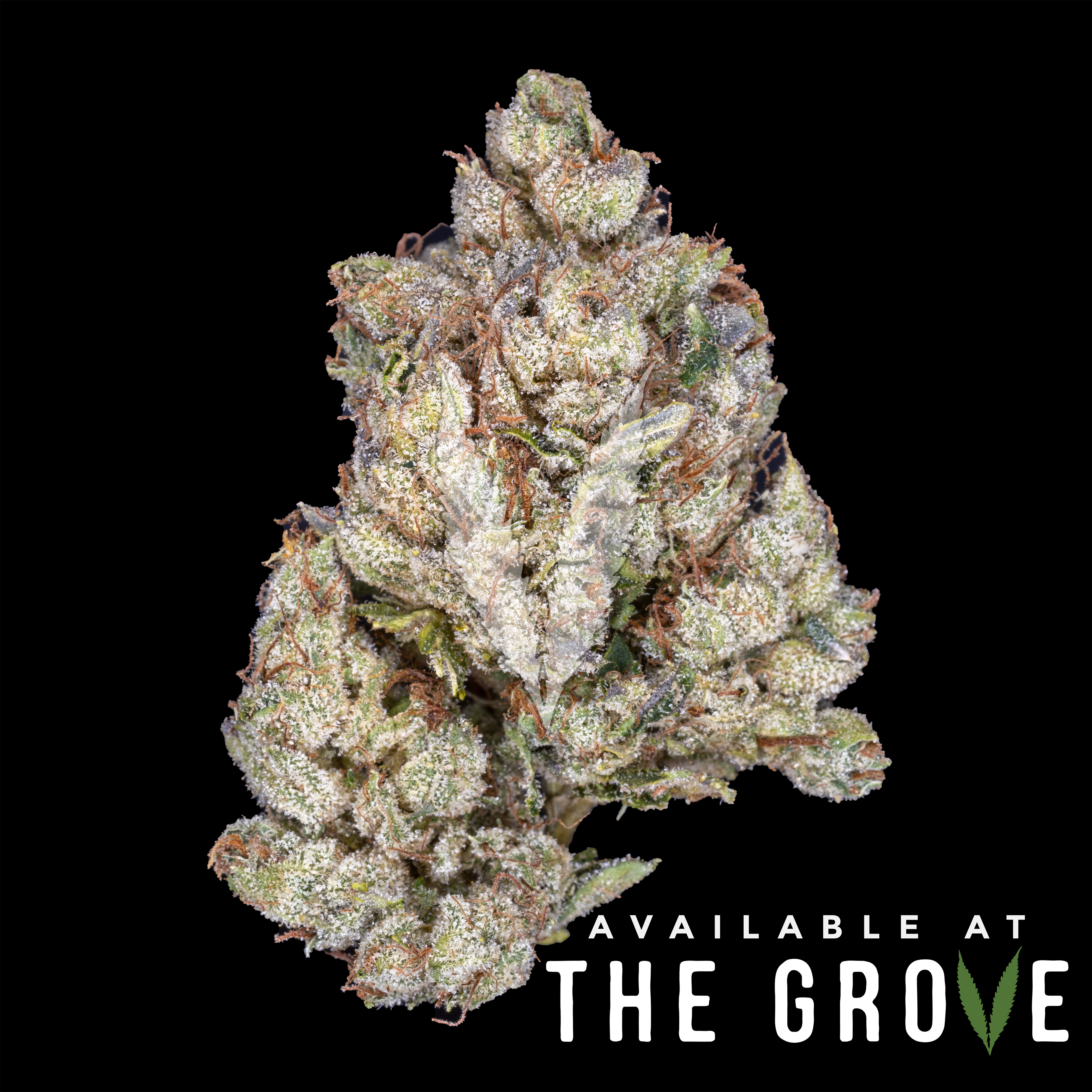 Photograph of Product: Kush Company | Kush Co OG - 3.5g