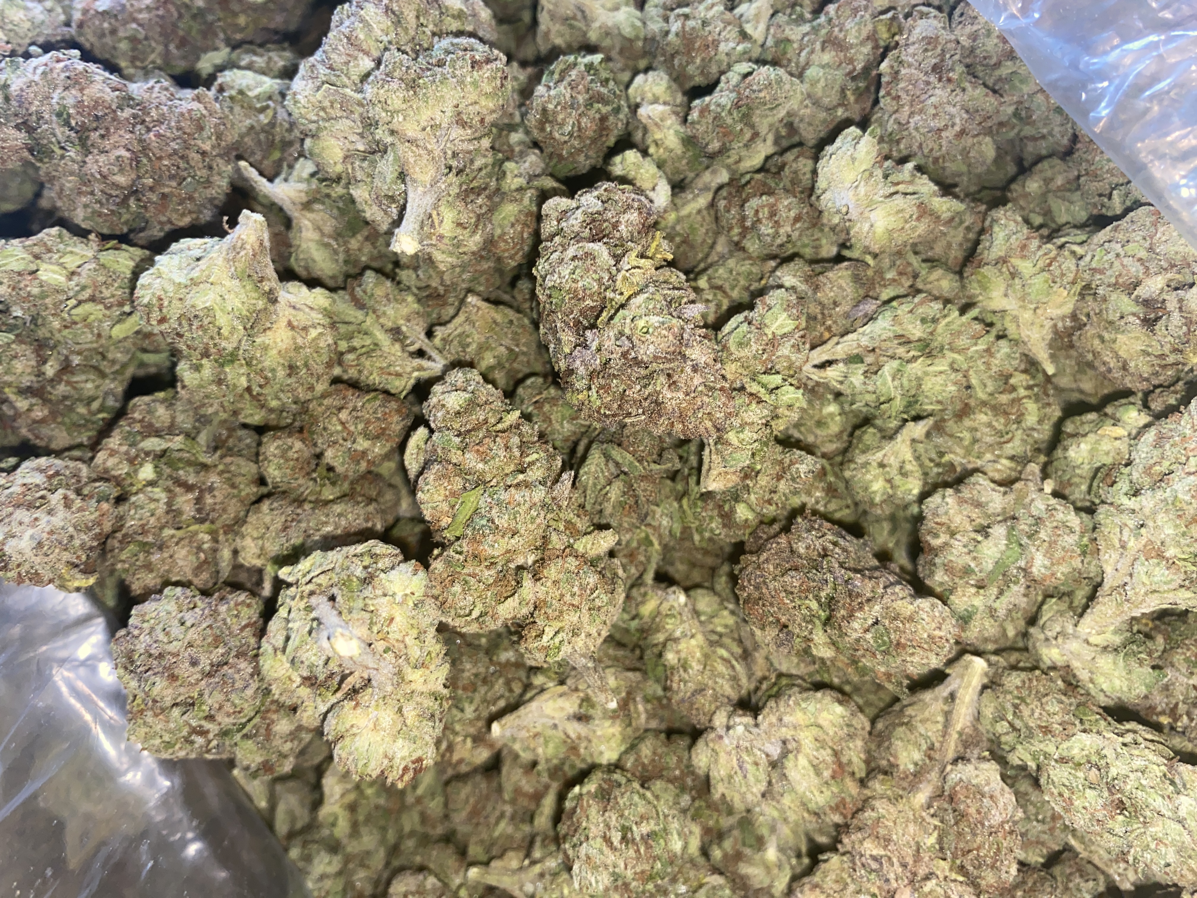 Photograph of product: Bubble Gum Gelato | The Green Well - 28g