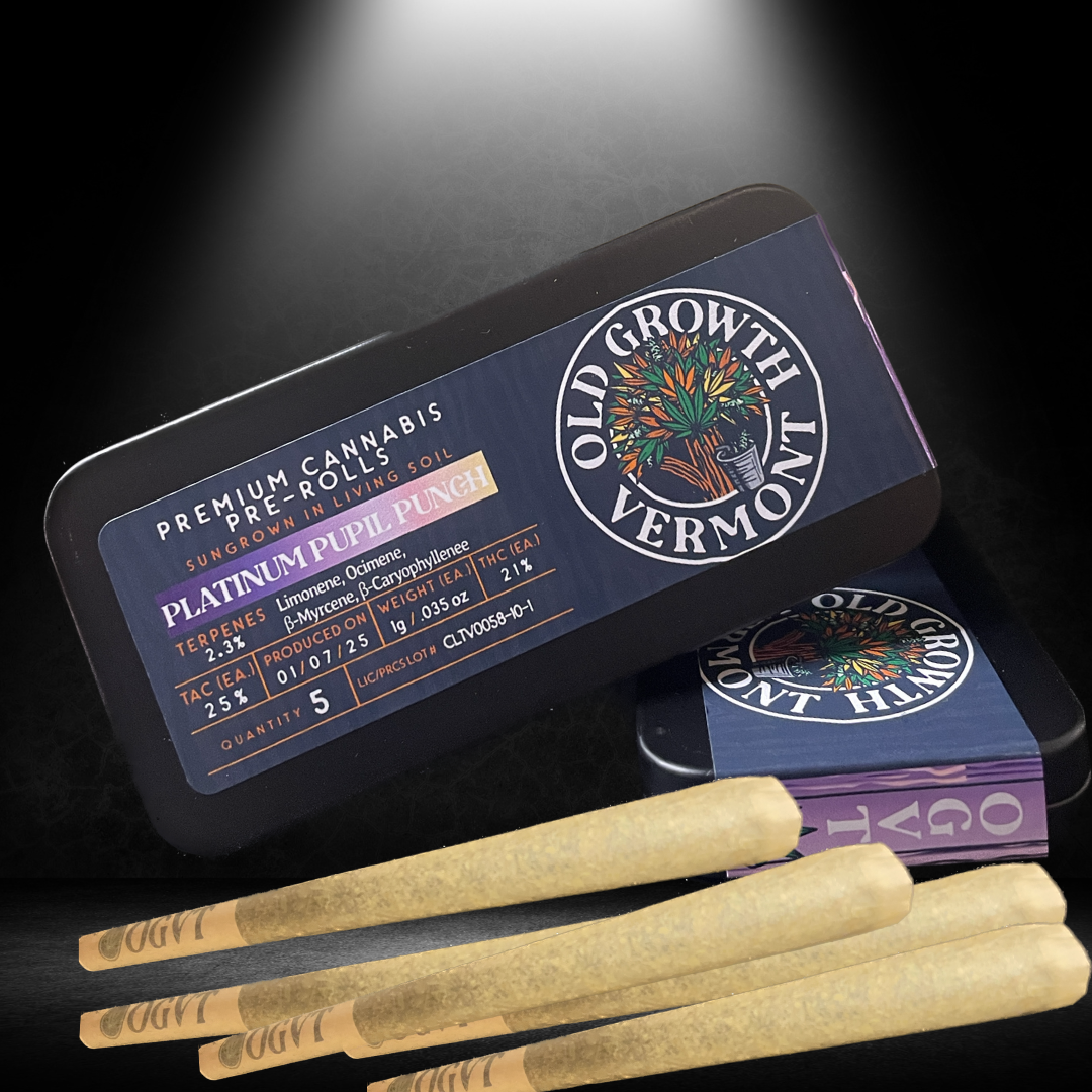 Photograph of product: Platinum Pupil Punch Multipack /5pk