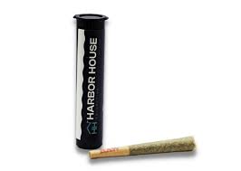 Photograph of product: HARBOR HOUSE | SCOOBY SNAX (H)