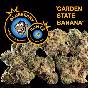 Photograph of product: Blueberry Runtz | 3.5g | Garden Greens