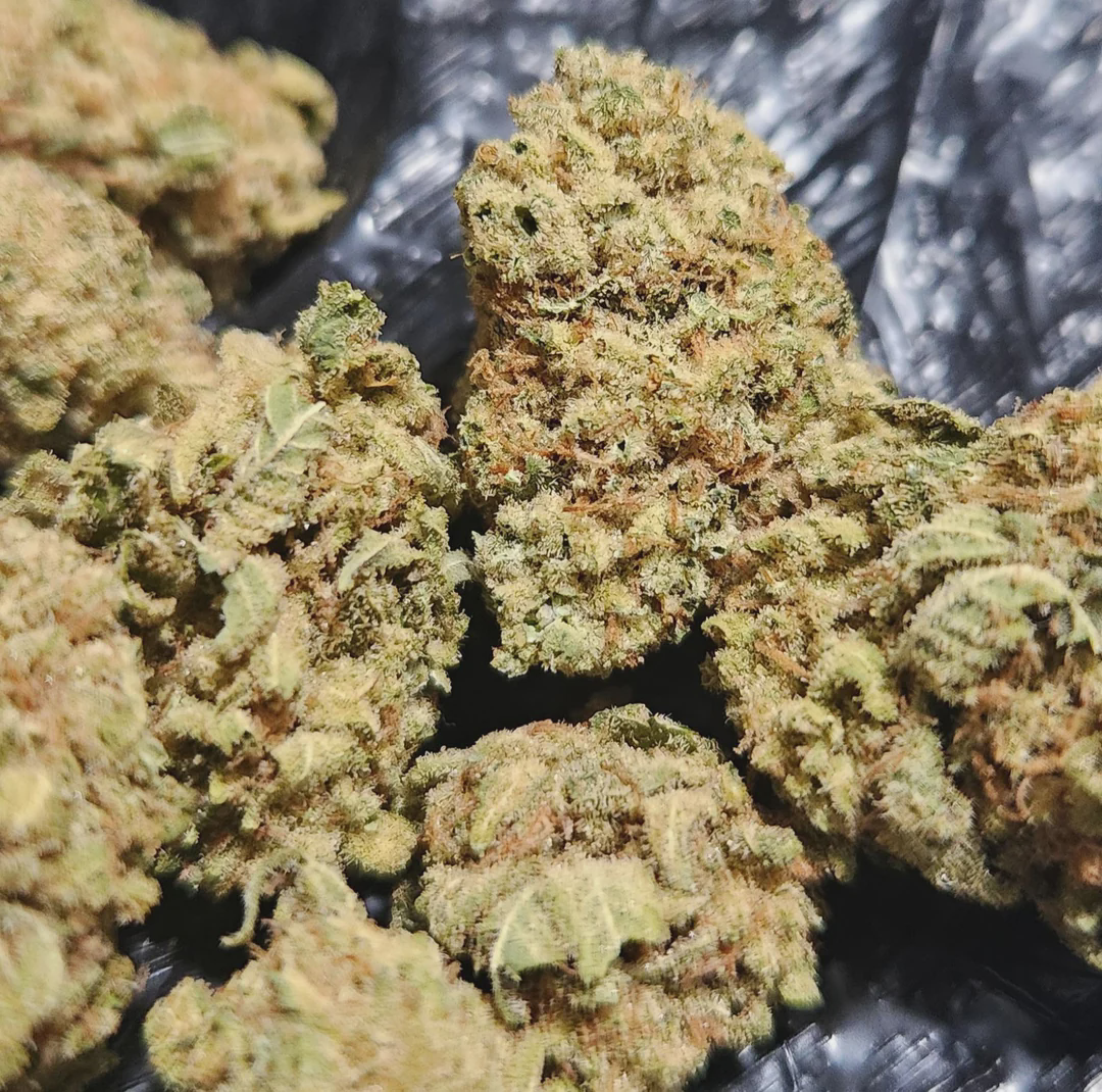 Photograph of product: Larry Lovestein - 3.5g Flower