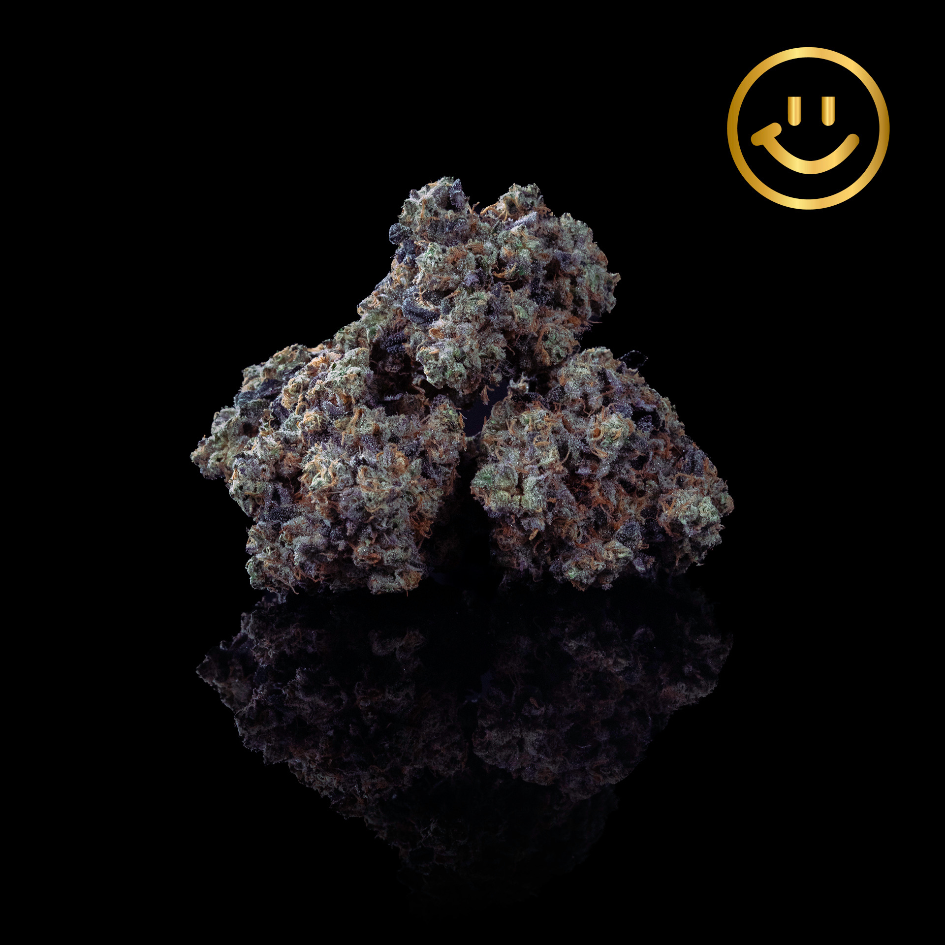 Photograph of product: Eugreen Farms | Payton's Pie | indoor flower