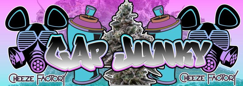 Photograph of product: Cap Junky Pre-Roll | 1g