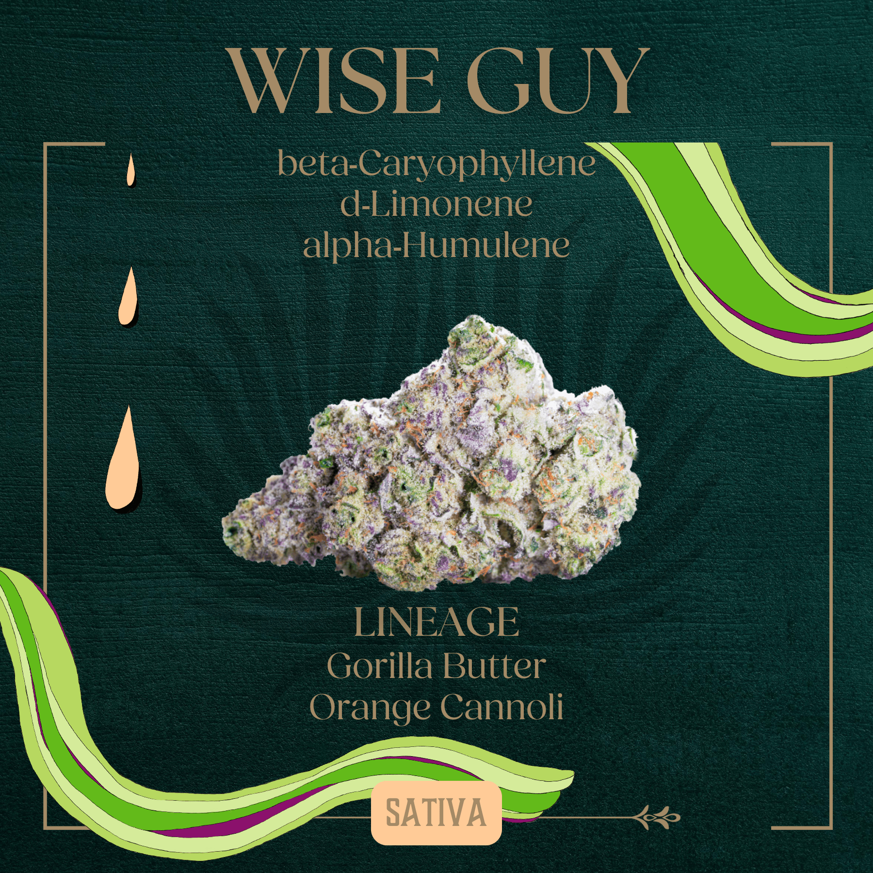 Photograph of product: Wise Guy Flower | 3.5g