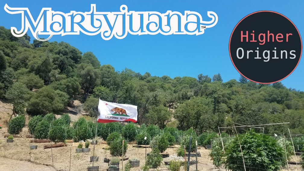 Photograph of product: Martyjuana | Chocolate Nerdz | 2pk Prerolls |