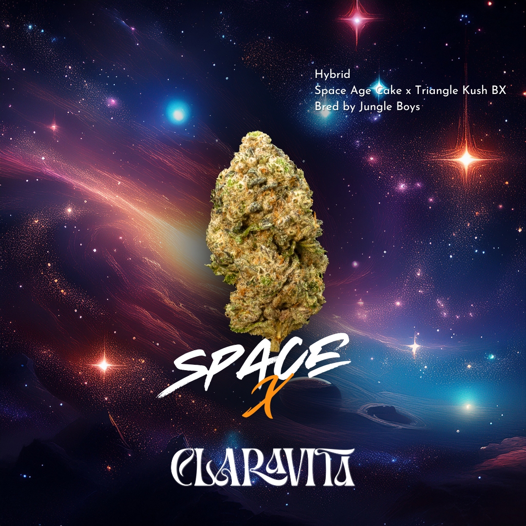 Photograph of product: Space X | Flower | 3.5g | by Claravita