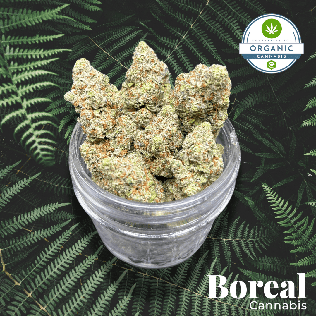 Photograph of product: BC Chem OG Tier 1 BULK