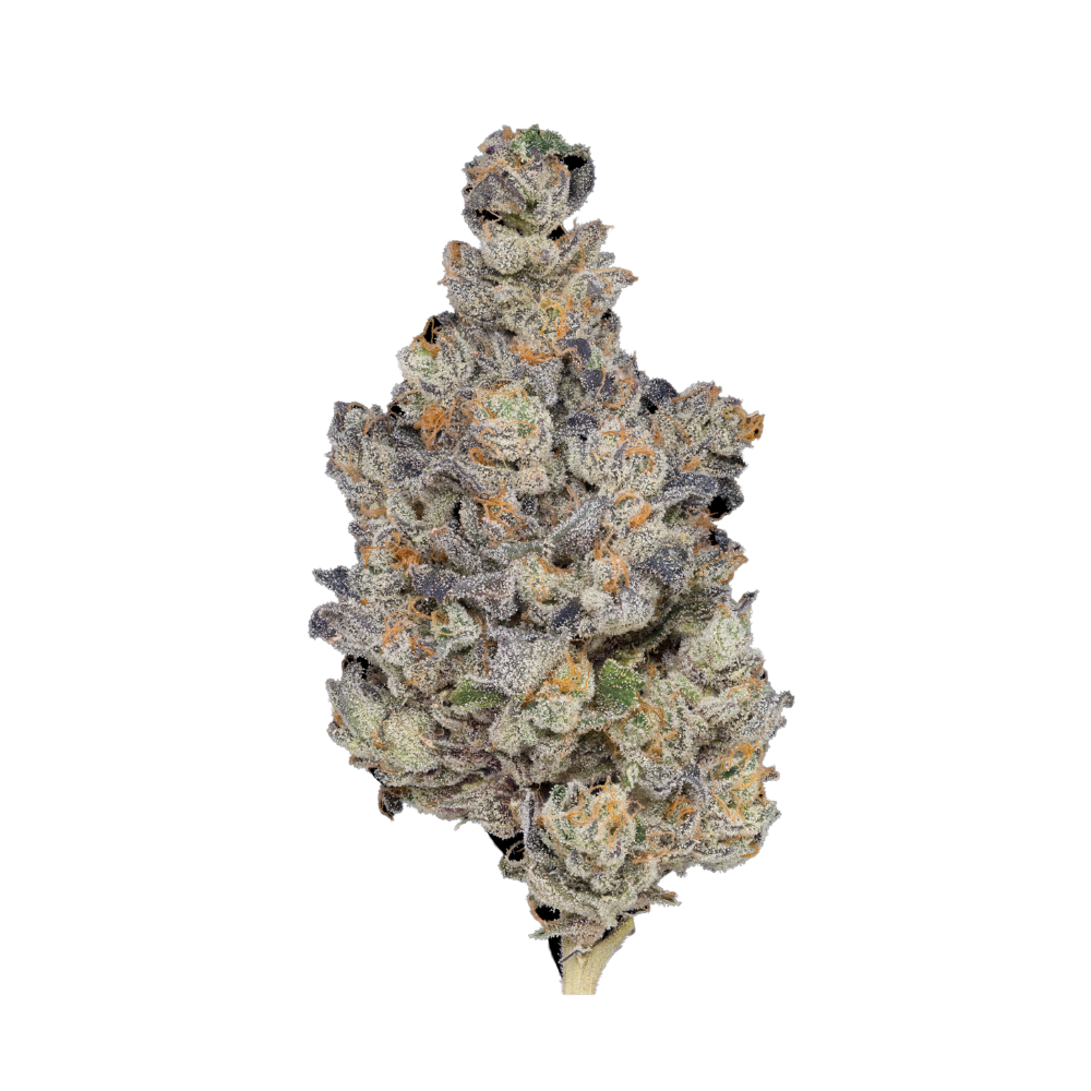 Photograph of product: F.A.F.O. Prepacked Flower - 3.5g