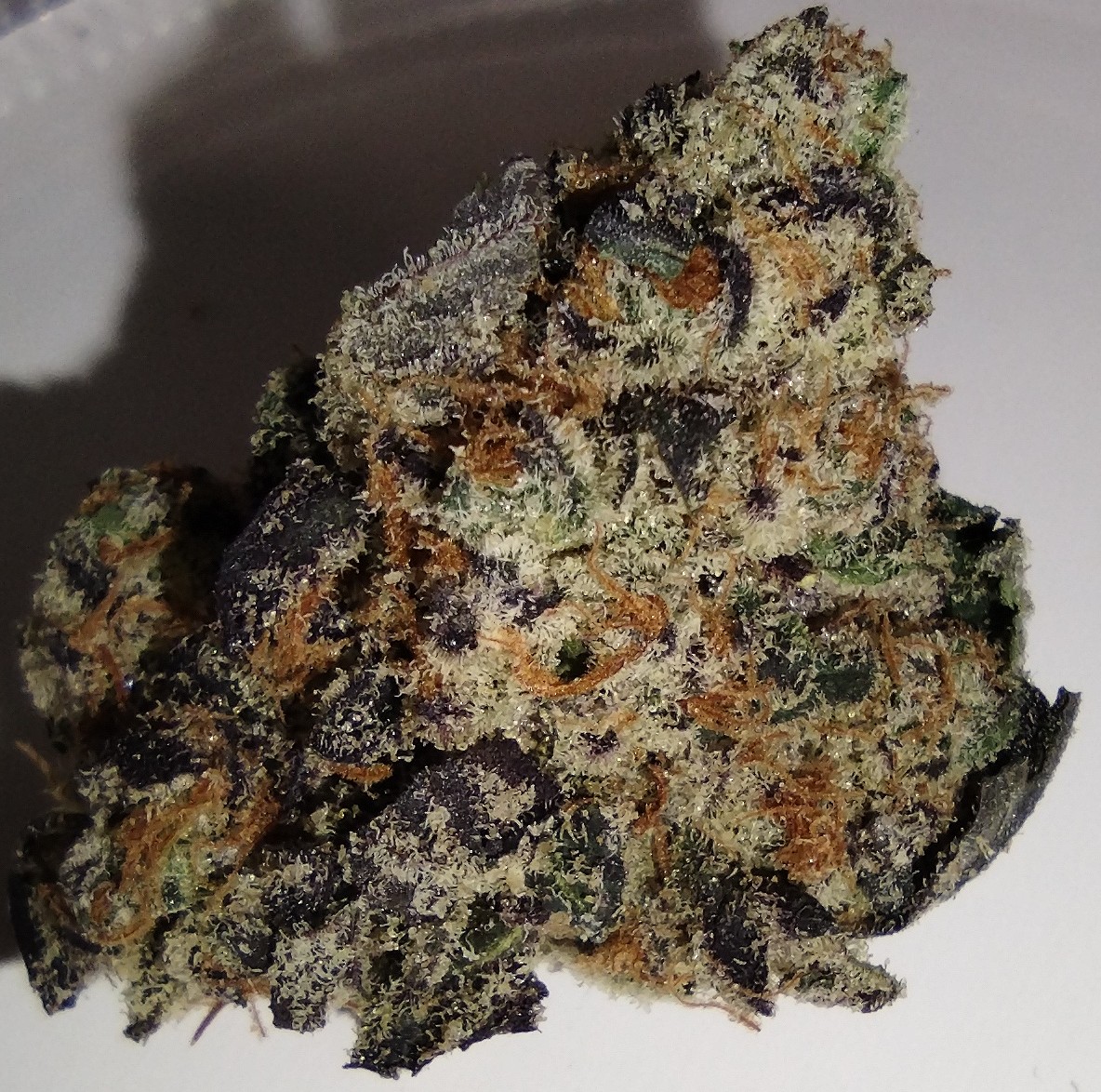 Photograph of product: Pure Bliss Farms - Pure Michigan - 7g - Flower
