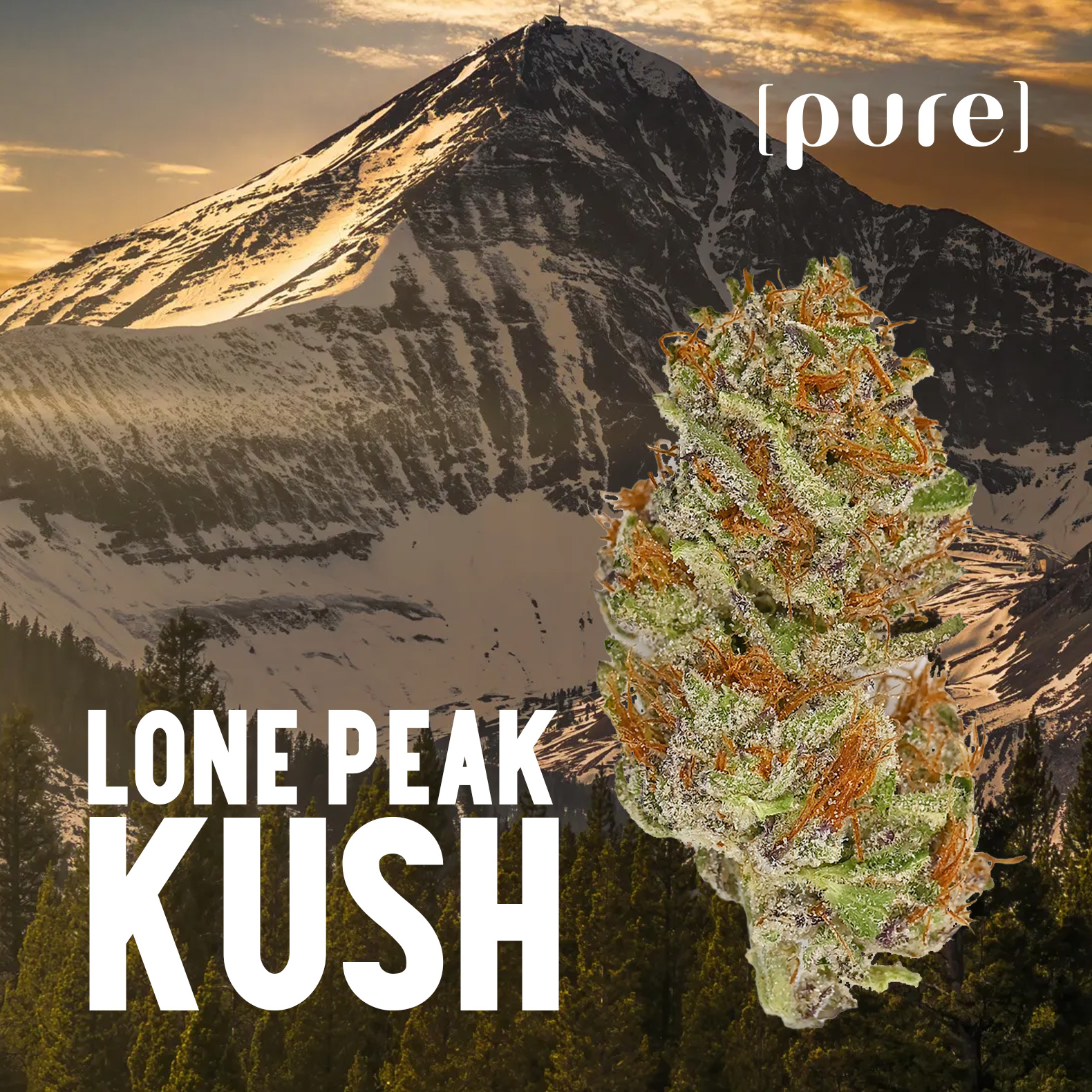 Photograph of product: Lone Peak Kush Flower - 14g