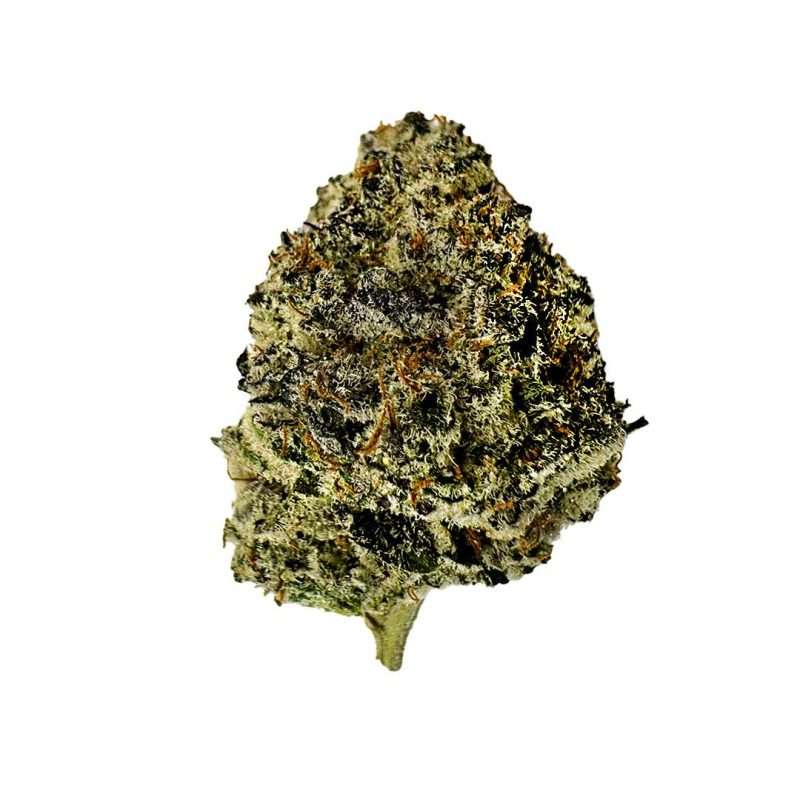 Photograph of product: Midnight Cosmos (Smalls) - 1g