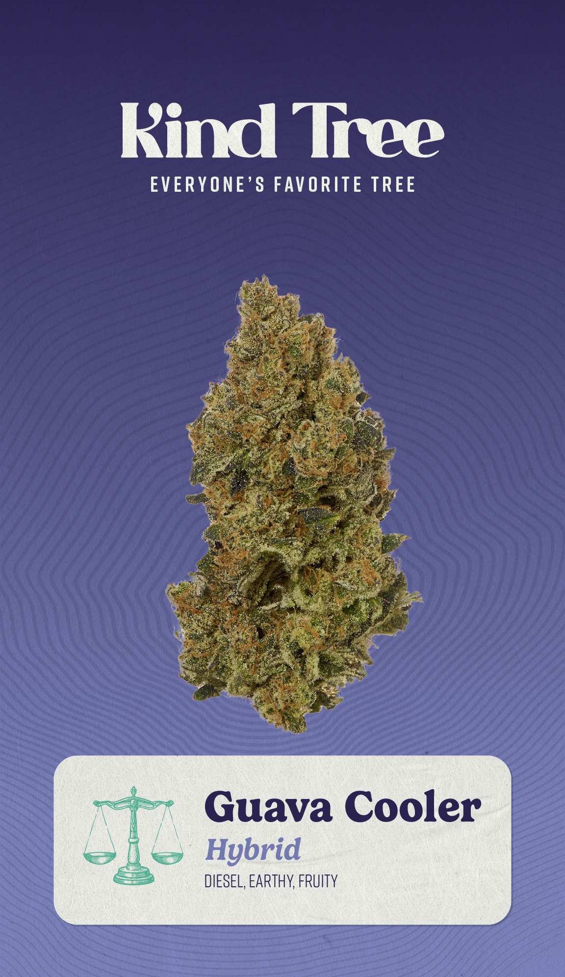Photograph of product: Kind Tree | Guava Cooler (H) Flower Buds | 14g