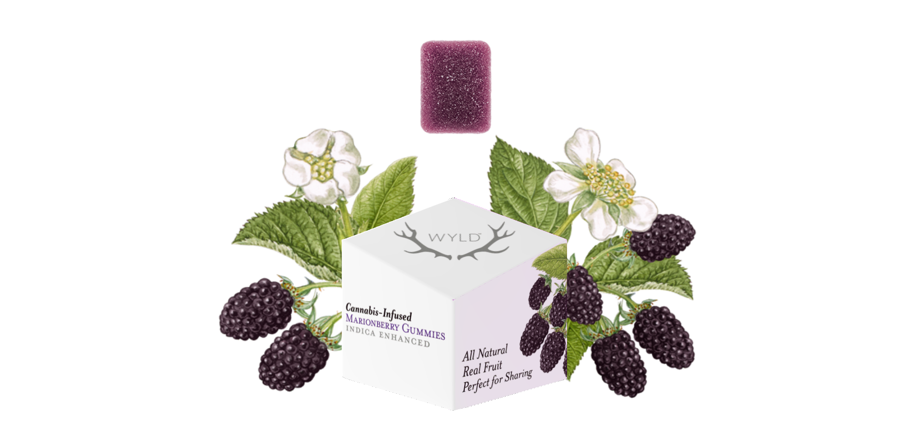 Photograph of product: Wyld - Gummies - Marionberry (I) (100mg)